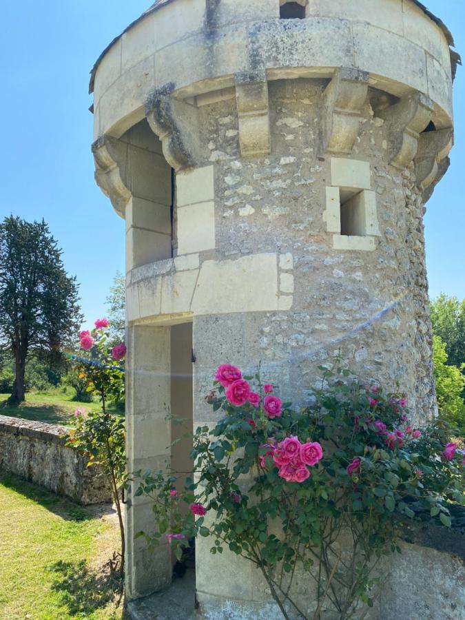 Domaine De Migny Villa Saint-Cyran-du-Jambot Dış mekan fotoğraf